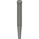 104031 - Filler Pin D=21 x 120